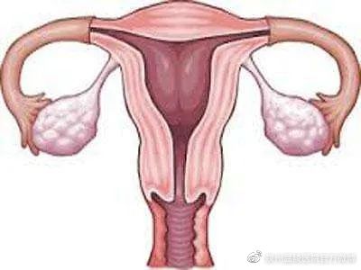 泉州妇科医院找哪家-什么是功能性子宫出血?(图2) 泉州妇科医院找哪家-什么是功能性子宫出血?(图2)